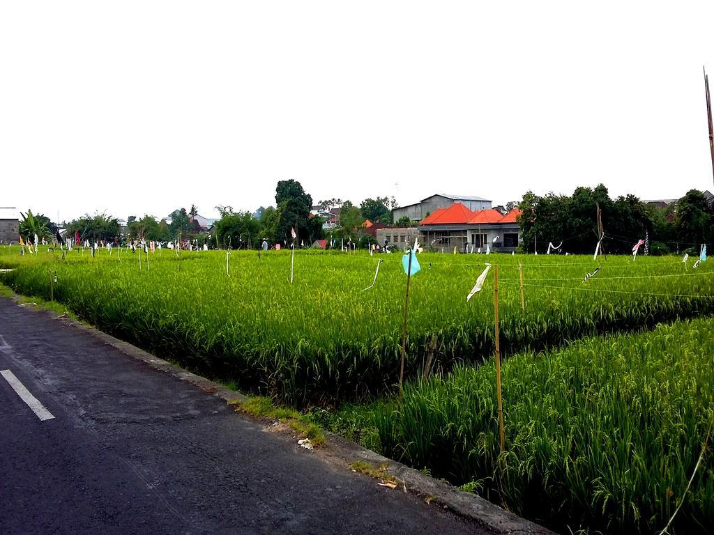 Reddoorz At Kerobokan Seminyak 2 외부 사진